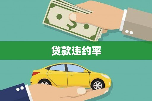洋县贷款违约率