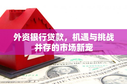 开阳外资银行贷款，机遇与挑战并存的市场新宠
