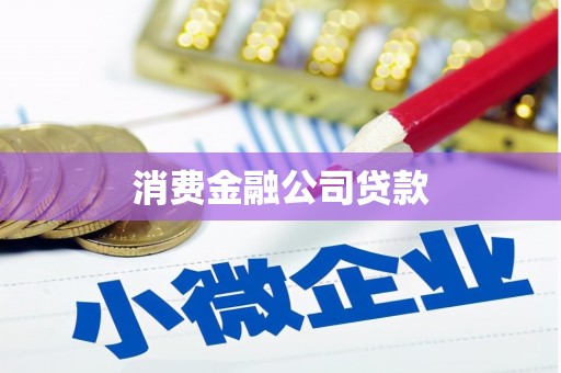 六龟消费金融公司贷款