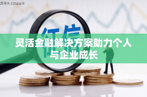 林甸灵活金融解决方案助力个人与企业成长