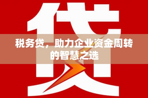 平湖税务贷，助力企业资金周转的智慧之选