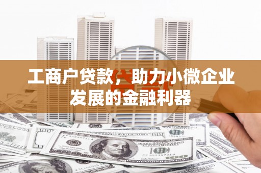 巧家工商户贷款，助力小微企业发展的金融利器