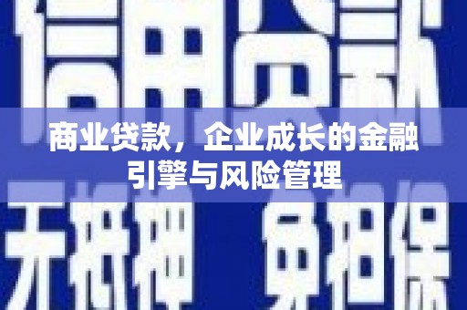 嘉兴商业贷款，企业成长的金融引擎与风险管理
