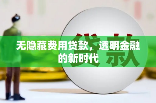 阳新无隐藏费用贷款，透明金融的新时代