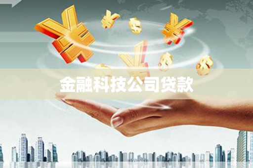 天长金融科技公司贷款