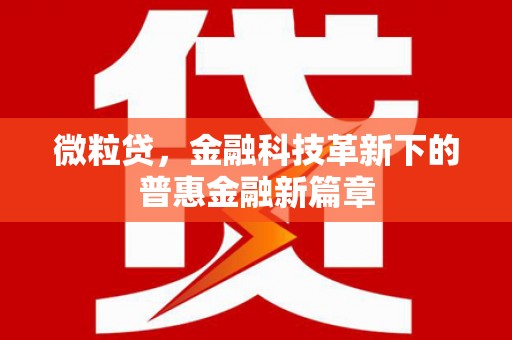 清河门微粒贷，金融科技革新下的普惠金融新篇章