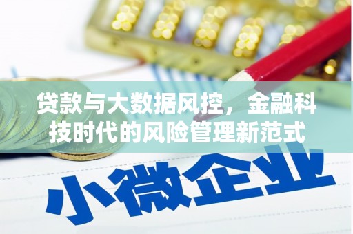 濮阳贷款与大数据风控，金融科技时代的风险管理新范式