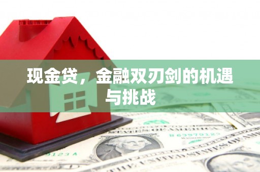 沙坪坝现金贷，金融双刃剑的机遇与挑战