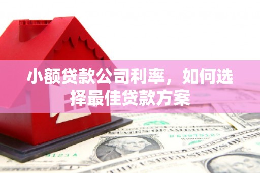 嵊州小额贷款公司利率，如何选择最佳贷款方案