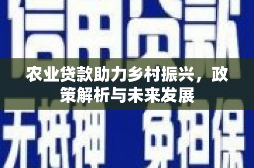 闽侯农业贷款助力乡村振兴，政策解析与未来发展