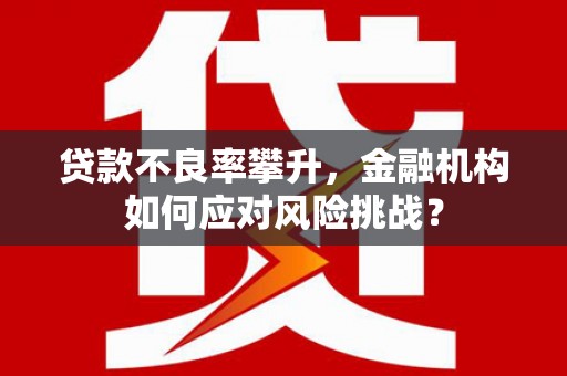 秦汉贷款不良率攀升，金融机构如何应对风险挑战？