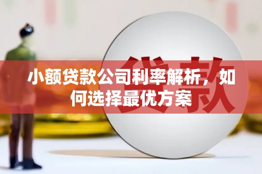 友谊小额贷款公司利率解析，如何选择最优方案
