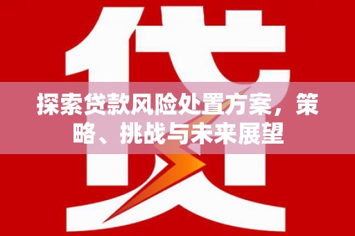 汾阳探索贷款风险处置方案，策略、挑战与未来展望