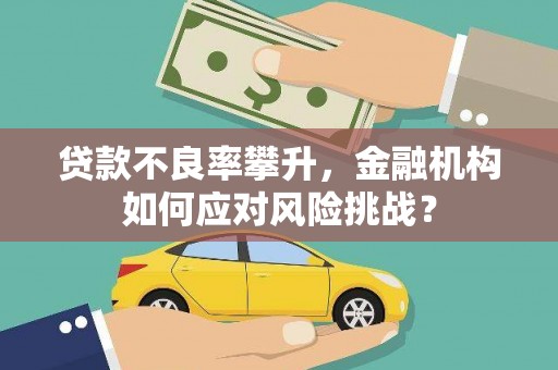 平度贷款不良率攀升，金融机构如何应对风险挑战？