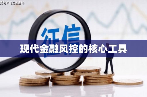 龙州现代金融风控的核心工具