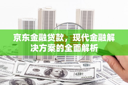 大溪京东金融贷款，现代金融解决方案的全面解析