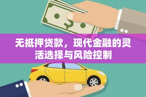 礼县无抵押贷款，现代金融的灵活选择与风险控制