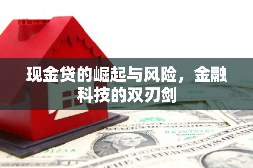 通霄现金贷的崛起与风险，金融科技的双刃剑