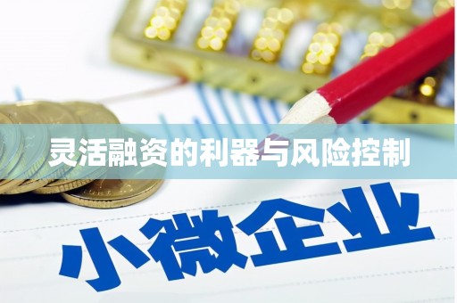 阿莲灵活融资的利器与风险控制