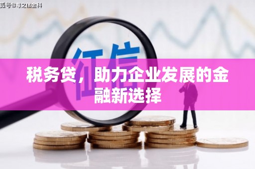 富顺税务贷，助力企业发展的金融新选择