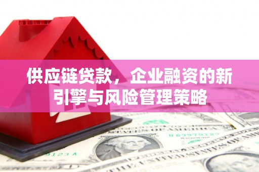 安康供应链贷款，企业融资的新引擎与风险管理策略
