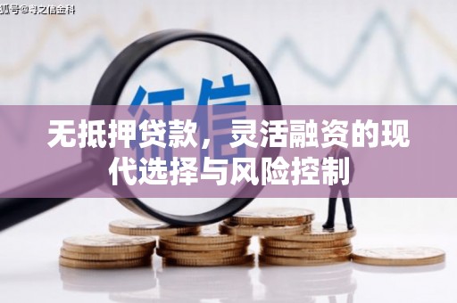 洱源无抵押贷款，灵活融资的现代选择与风险控制