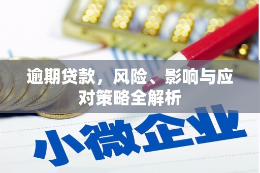 蒙城逾期贷款，风险、影响与应对策略全解析