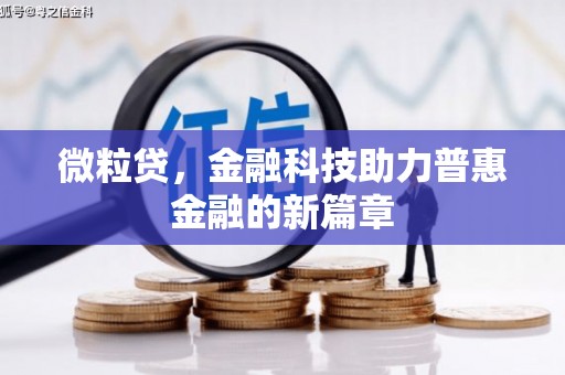 蚌埠微粒贷，金融科技助力普惠金融的新篇章