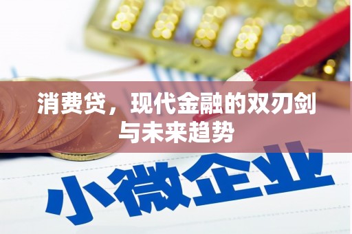 公安消费贷，现代金融的双刃剑与未来趋势