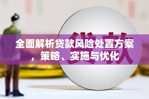 汉源全面解析贷款风险处置方案，策略、实施与优化
