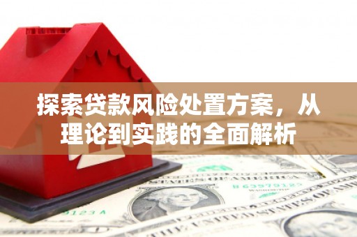 旗津探索贷款风险处置方案，从理论到实践的全面解析