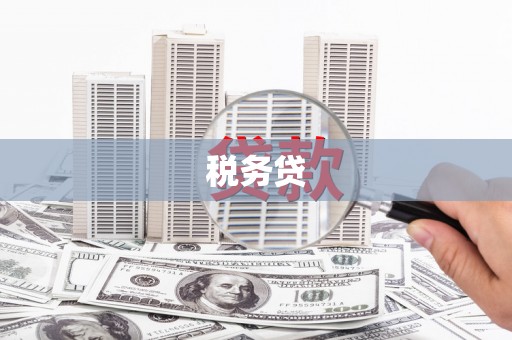 洪雅税务贷