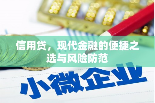 定远信用贷，现代金融的便捷之选与风险防范