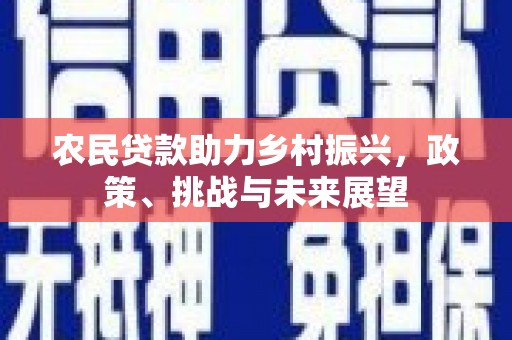 钢城农民贷款助力乡村振兴，政策、挑战与未来展望