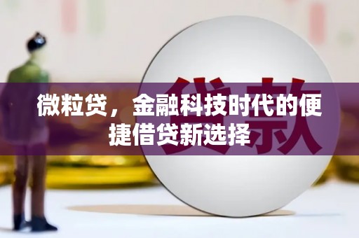楠西微粒贷，金融科技时代的便捷借贷新选择