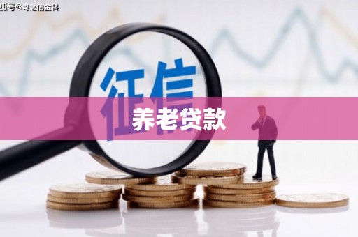 藁城养老贷款