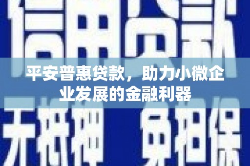 徐汇平安普惠贷款，助力小微企业发展的金融利器