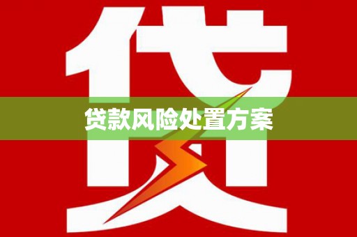 合水贷款风险处置方案