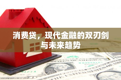 三门峡消费贷，现代金融的双刃剑与未来趋势