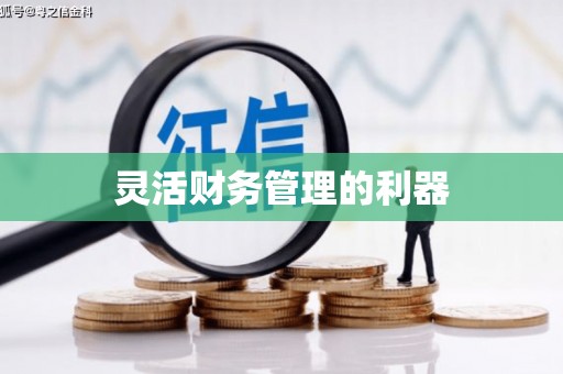 新洲灵活财务管理的利器