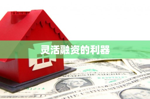 蒙阴灵活融资的利器