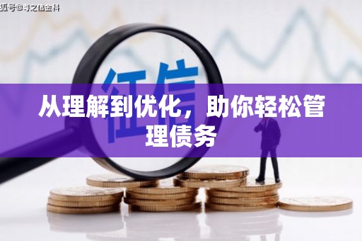 丰满从理解到优化，助你轻松管理债务