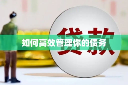 海北如何高效管理你的债务