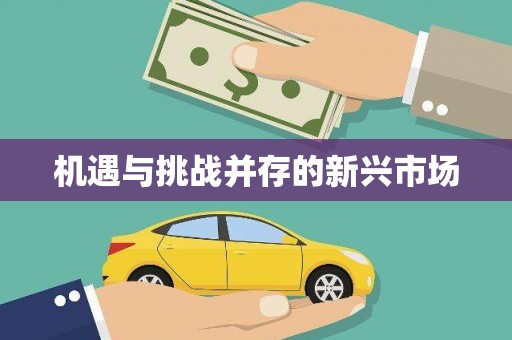 东昌府机遇与挑战并存的新兴市场