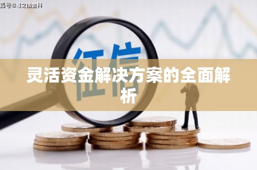 太平灵活资金解决方案的全面解析